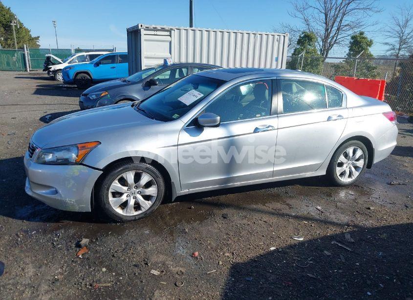 Photo 14 of 2010 Honda Accord 3.5 EX-L (VIN 5KBCP3F80AB008627)