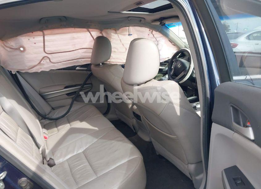 Photo 8 of 2010 Honda Accord 3.5 EX-L (VIN 5KBCP3F80AB017280)