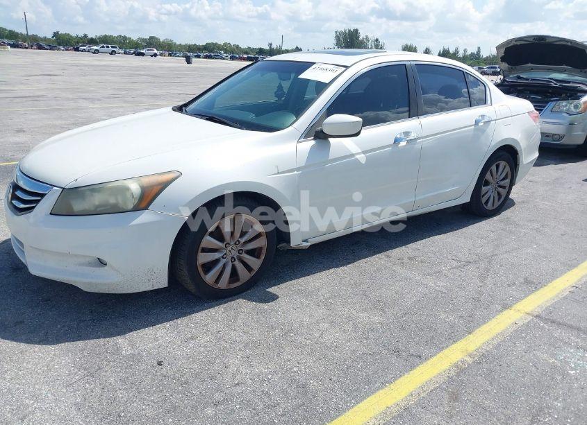 Photo 2 of 2011 Honda Accord 3.5 EX-L (VIN 5KBCP3F80BB002022)