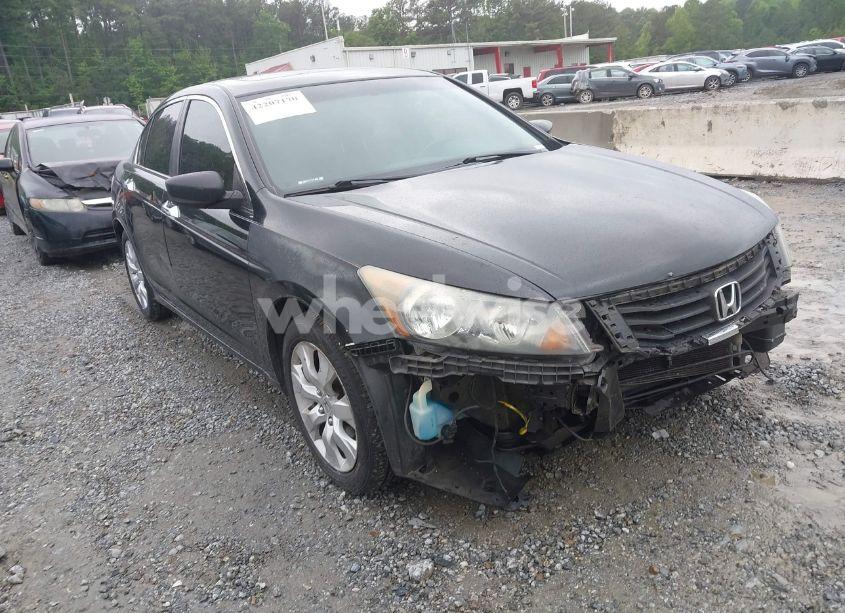 2010 Honda Accord 3.5 EX-L (VIN 5KBCP3F81AB003808) main photo