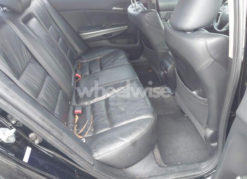 Photo 8 of 2010 Honda Accord 3.5 EX-L (VIN 5KBCP3F81AB003808)