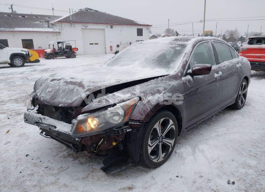 Photo 2 of 2010 Honda Accord 3.5 EX-L (VIN 5KBCP3F81AB004182)