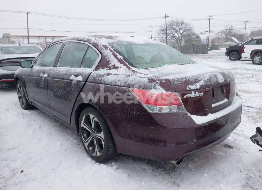 Photo 3 of 2010 Honda Accord 3.5 EX-L (VIN 5KBCP3F81AB004182)