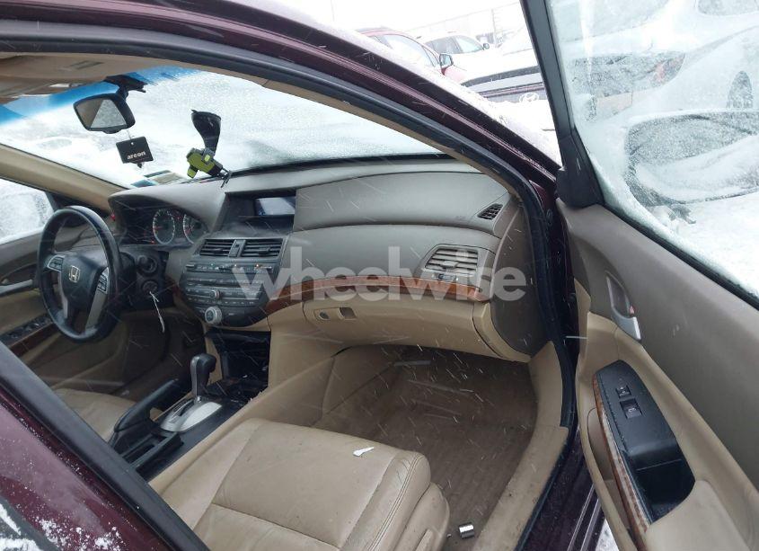 Photo 5 of 2010 Honda Accord 3.5 EX-L (VIN 5KBCP3F81AB004182)