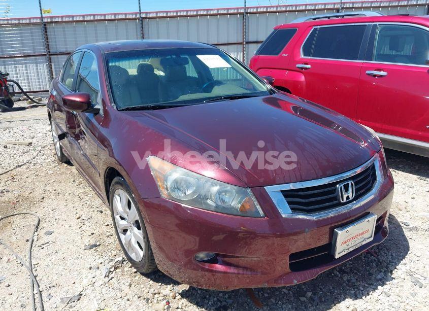 2010 Honda Accord 3.5 EX-L (VIN 5KBCP3F81AB011956) main photo