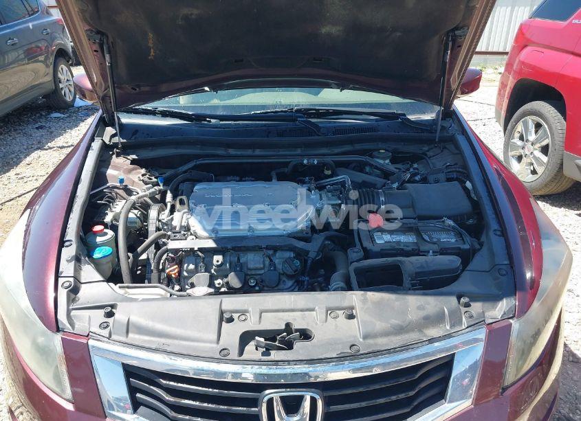 Photo 10 of 2010 Honda Accord 3.5 EX-L (VIN 5KBCP3F81AB011956)