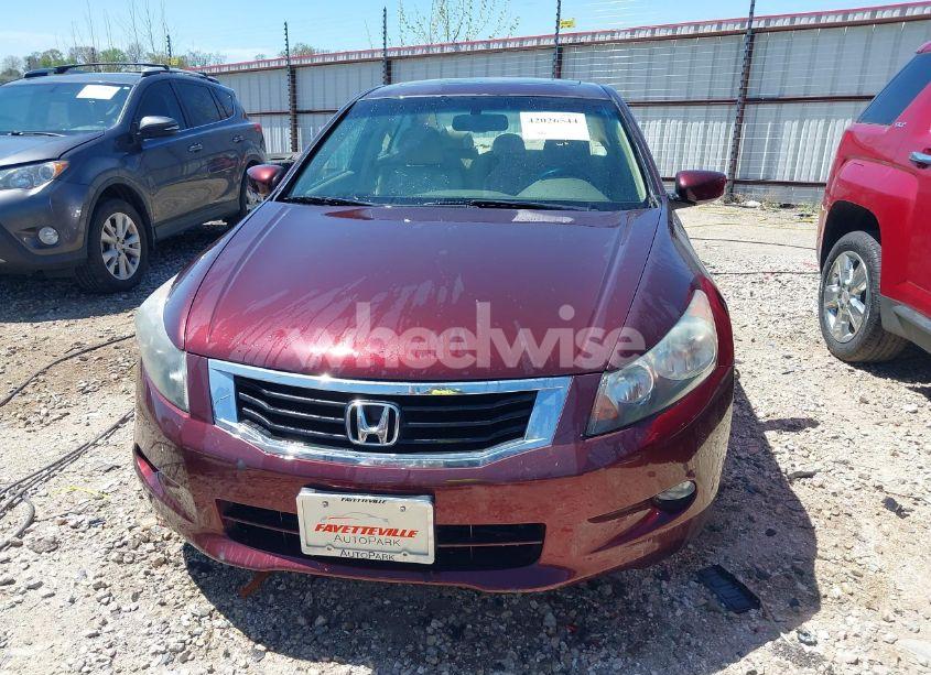 Photo 12 of 2010 Honda Accord 3.5 EX-L (VIN 5KBCP3F81AB011956)