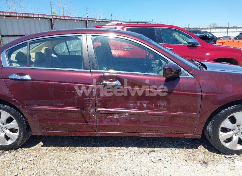 Photo 13 of 2010 Honda Accord 3.5 EX-L (VIN 5KBCP3F81AB011956)