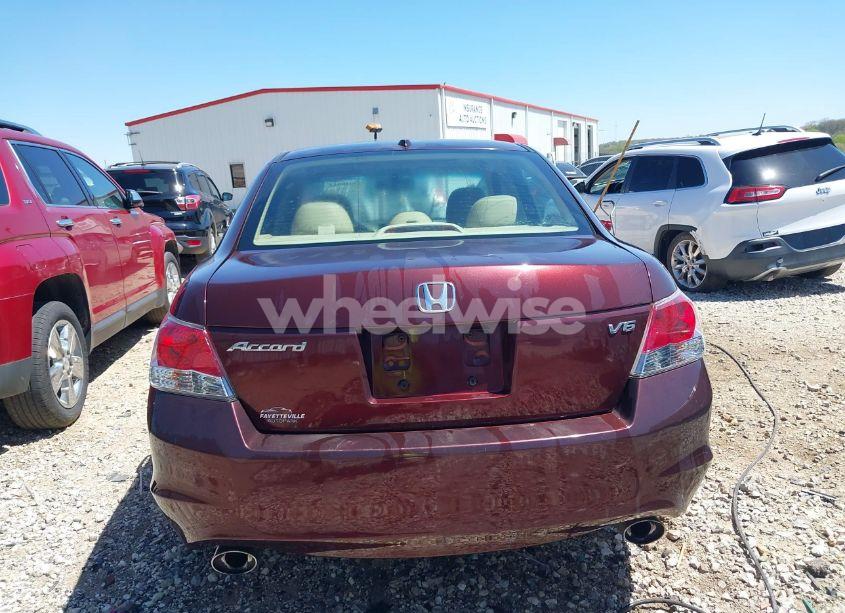 Photo 16 of 2010 Honda Accord 3.5 EX-L (VIN 5KBCP3F81AB011956)
