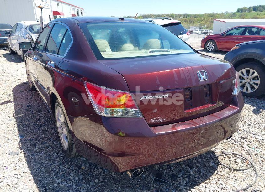 Photo 3 of 2010 Honda Accord 3.5 EX-L (VIN 5KBCP3F81AB011956)