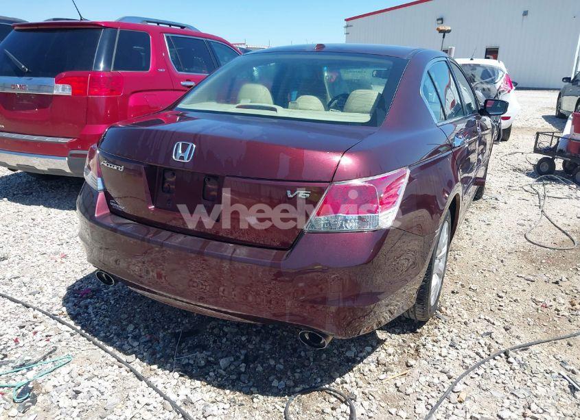 Photo 4 of 2010 Honda Accord 3.5 EX-L (VIN 5KBCP3F81AB011956)