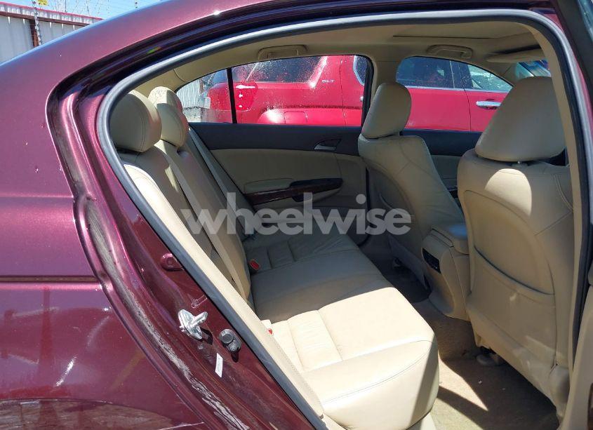 Photo 8 of 2010 Honda Accord 3.5 EX-L (VIN 5KBCP3F81AB011956)