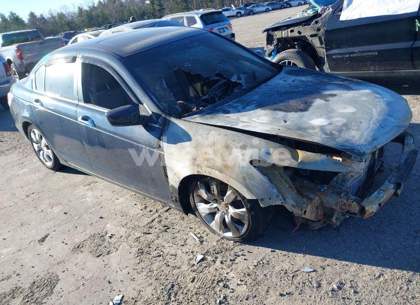 2010 Honda Accord 3.5 EX-L (VIN 5KBCP3F81AB012640) main photo