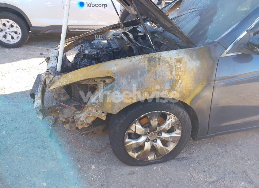 Photo 13 of 2010 Honda Accord 3.5 EX-L (VIN 5KBCP3F81AB012640)