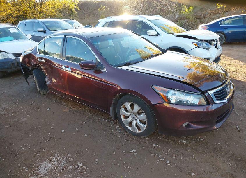 2010 Honda Accord 3.5 EX-L (VIN 5KBCP3F81AB015957) main photo