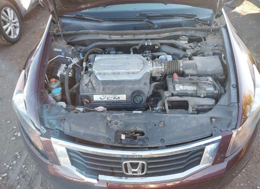 Photo 10 of 2010 Honda Accord 3.5 EX-L (VIN 5KBCP3F81AB015957)