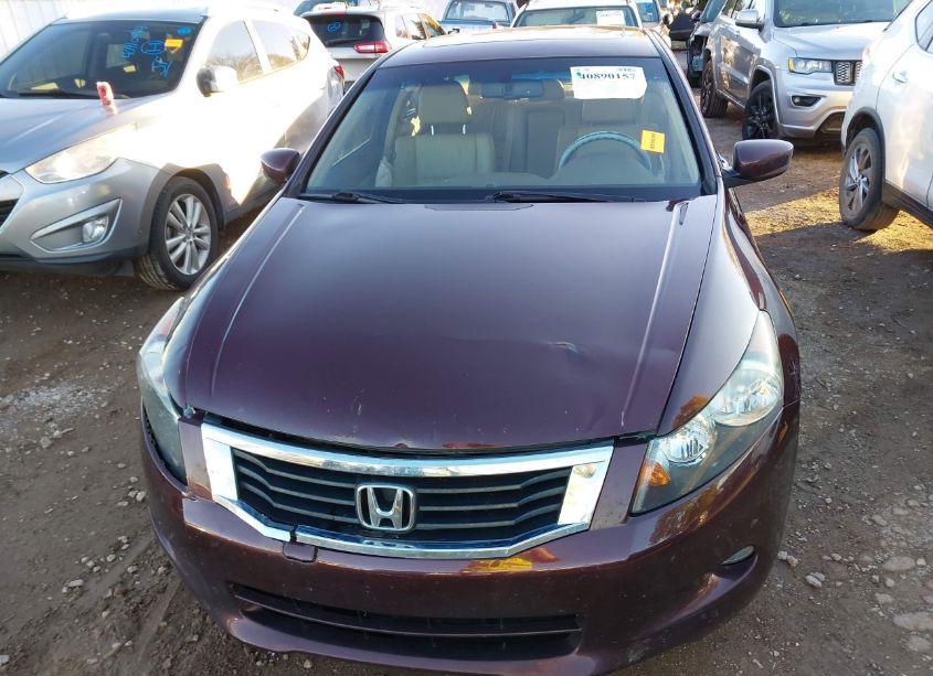 Photo 12 of 2010 Honda Accord 3.5 EX-L (VIN 5KBCP3F81AB015957)