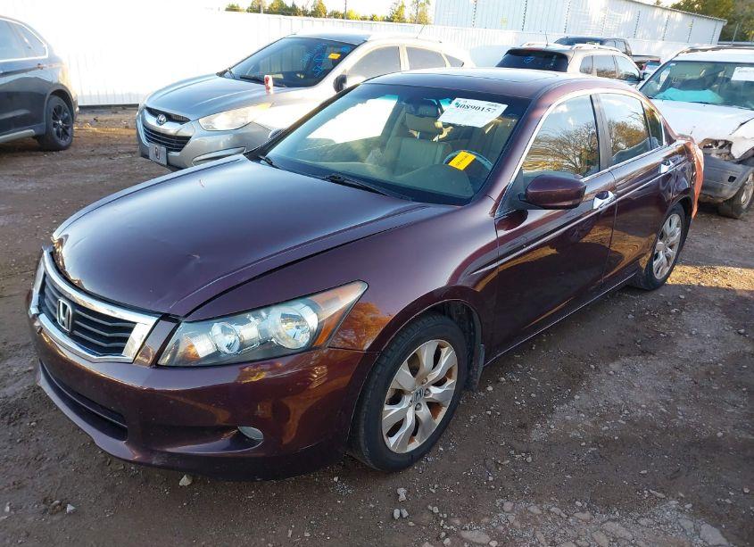 Photo 2 of 2010 Honda Accord 3.5 EX-L (VIN 5KBCP3F81AB015957)