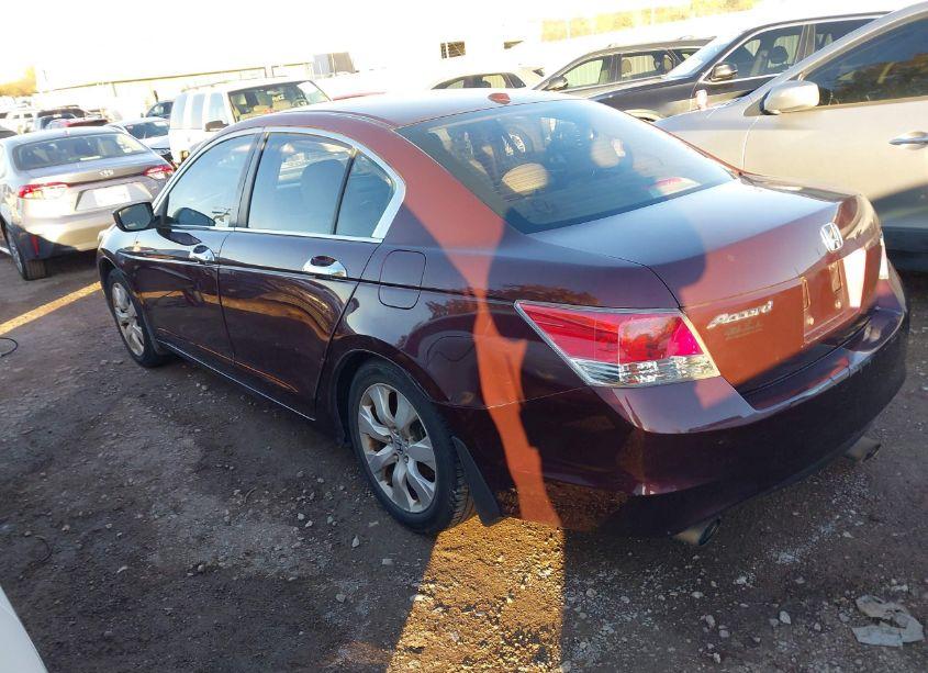 Photo 3 of 2010 Honda Accord 3.5 EX-L (VIN 5KBCP3F81AB015957)