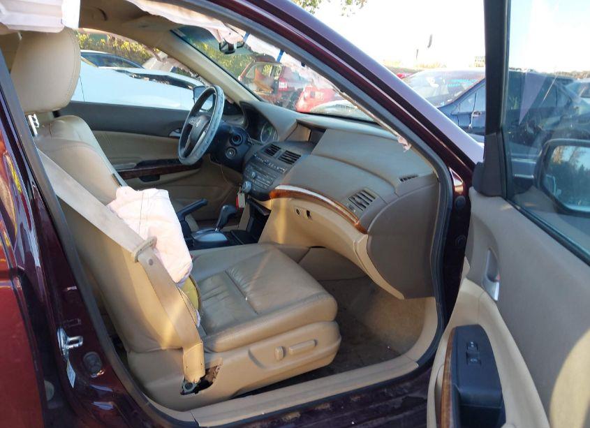 Photo 5 of 2010 Honda Accord 3.5 EX-L (VIN 5KBCP3F81AB015957)