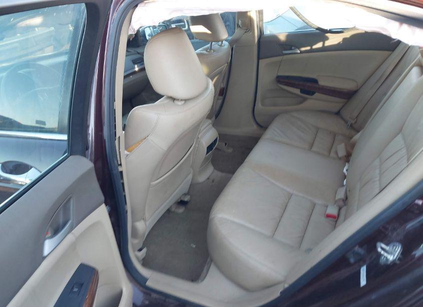 Photo 8 of 2010 Honda Accord 3.5 EX-L (VIN 5KBCP3F81AB015957)