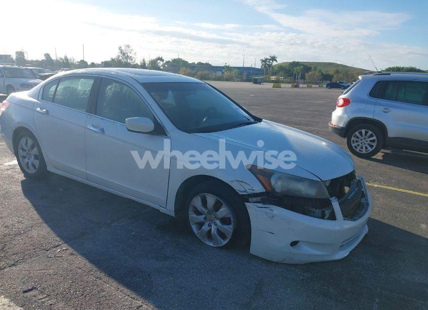 2010 Honda Accord 3.5 EX-L (VIN 5KBCP3F81AB016557) main photo