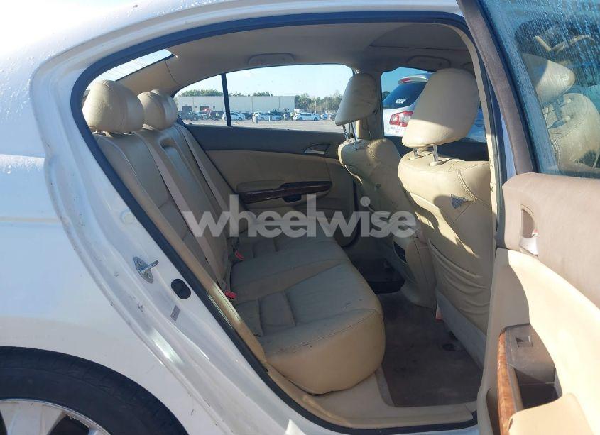 Photo 8 of 2010 Honda Accord 3.5 EX-L (VIN 5KBCP3F81AB016557)