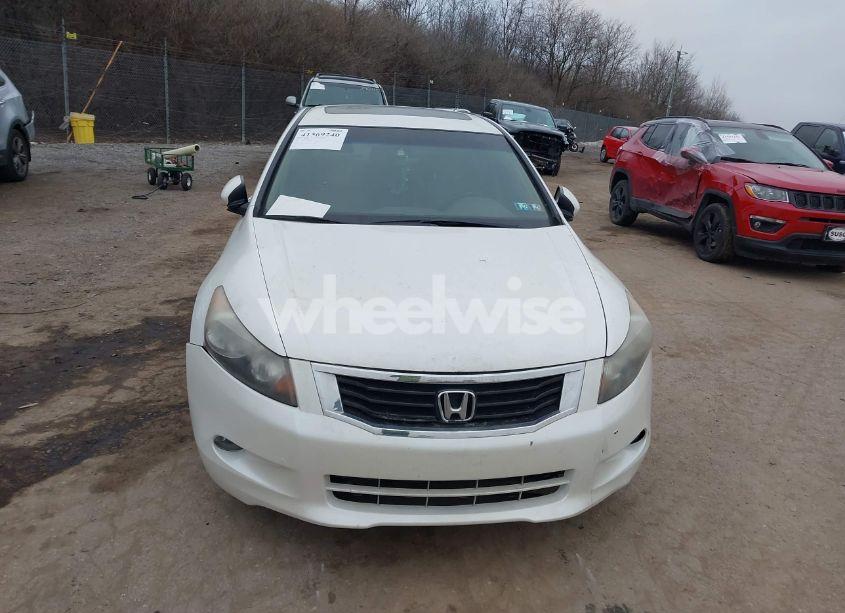 Photo 12 of 2010 Honda Accord 3.5 EX-L (VIN 5KBCP3F82AB001629)