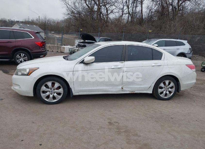 Photo 14 of 2010 Honda Accord 3.5 EX-L (VIN 5KBCP3F82AB001629)