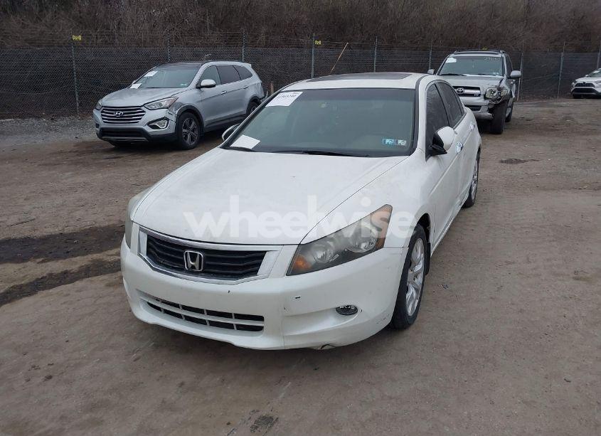 Photo 6 of 2010 Honda Accord 3.5 EX-L (VIN 5KBCP3F82AB001629)