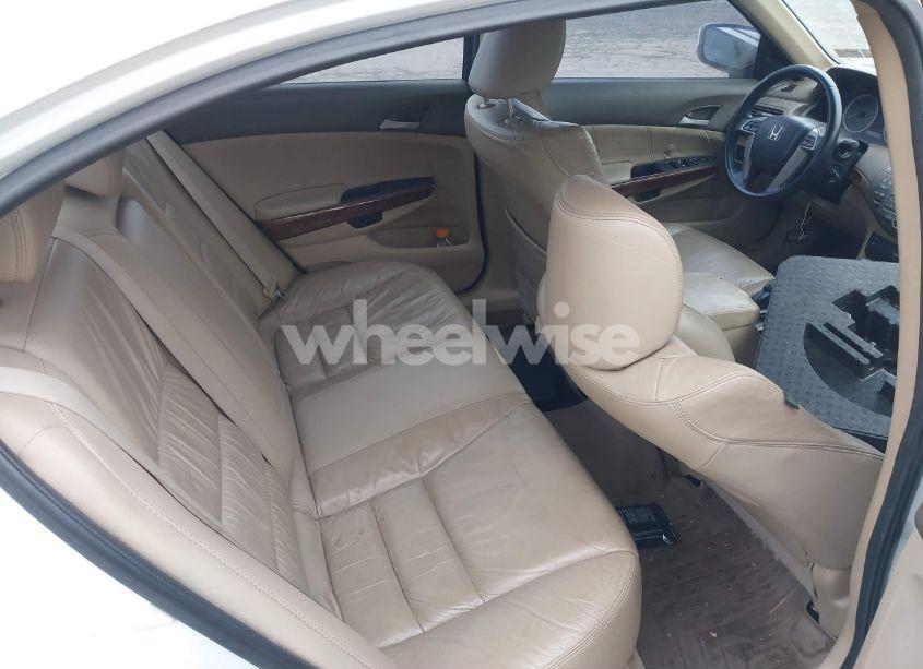 Photo 8 of 2010 Honda Accord 3.5 EX-L (VIN 5KBCP3F82AB001629)