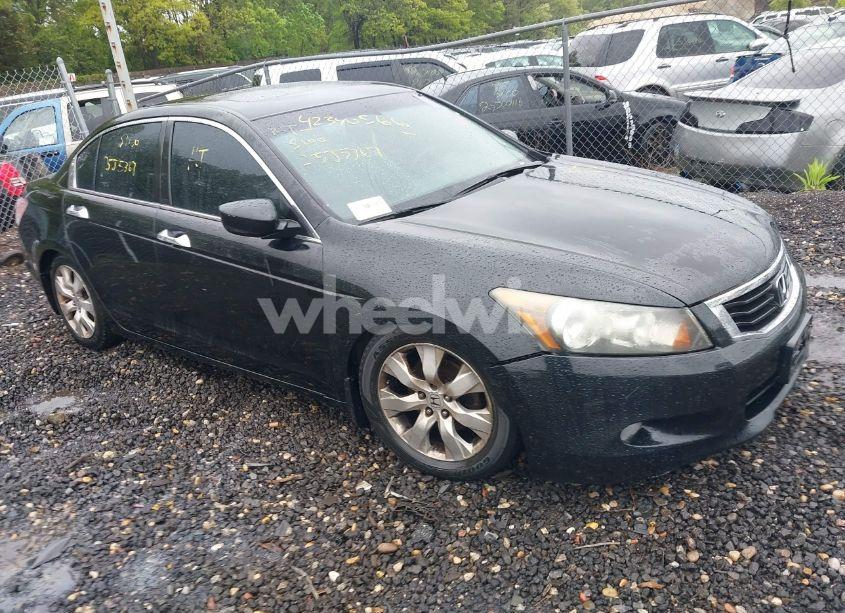 2010 Honda Accord 3.5 EX-L (VIN 5KBCP3F82AB003462) main photo