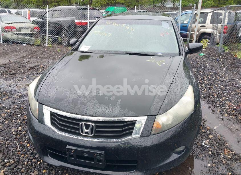 Photo 11 of 2010 Honda Accord 3.5 EX-L (VIN 5KBCP3F82AB003462)