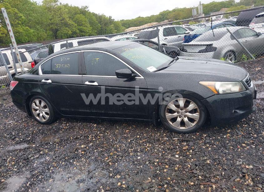 Photo 12 of 2010 Honda Accord 3.5 EX-L (VIN 5KBCP3F82AB003462)