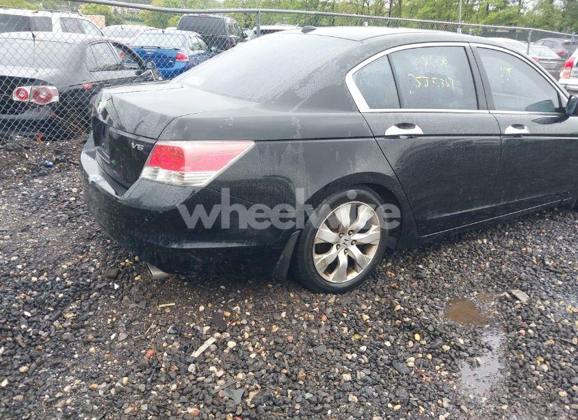 Photo 4 of 2010 Honda Accord 3.5 EX-L (VIN 5KBCP3F82AB003462)