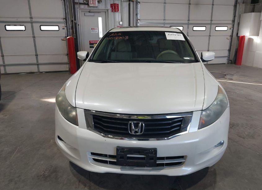 Photo 12 of 2010 Honda Accord 3.5 EX-L (VIN 5KBCP3F82AB005552)