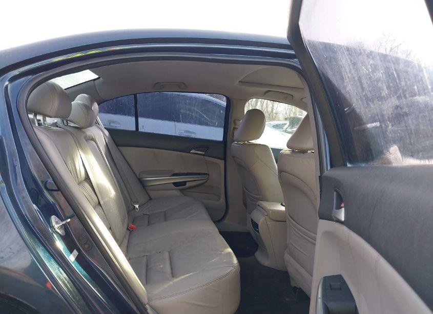 Photo 8 of 2010 Honda Accord 3.5 EX-L (VIN 5KBCP3F82AB011514)