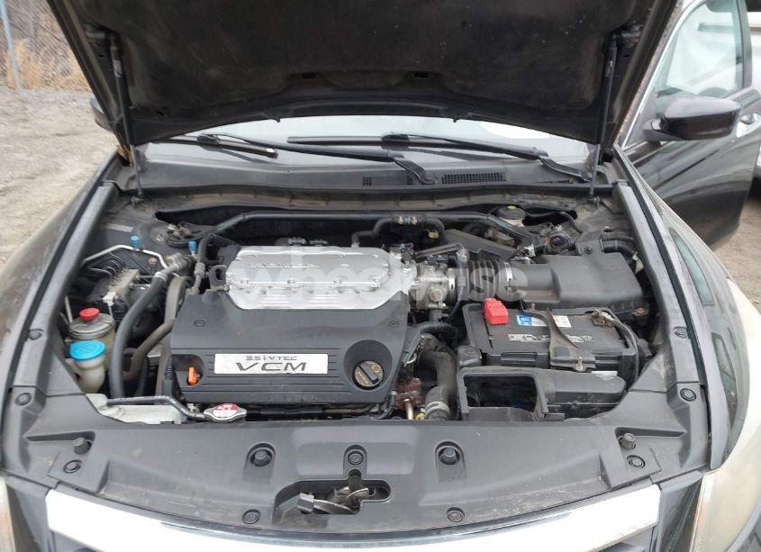 Photo 10 of 2011 Honda Accord 3.5 EX-L (VIN 5KBCP3F82BB001714)