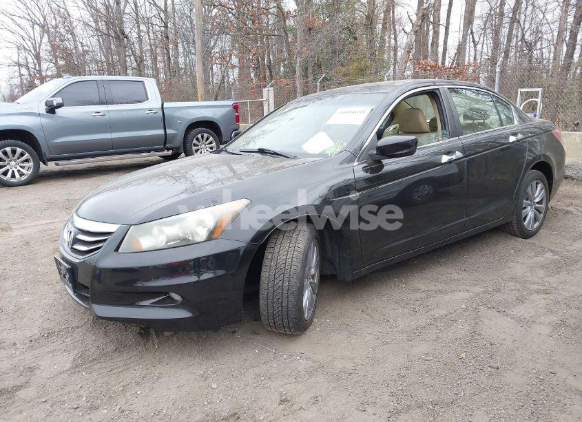 Photo 2 of 2011 Honda Accord 3.5 EX-L (VIN 5KBCP3F82BB001714)