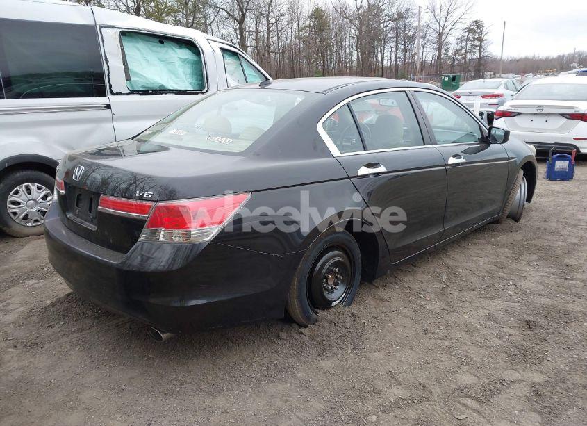 Photo 4 of 2011 Honda Accord 3.5 EX-L (VIN 5KBCP3F82BB001714)