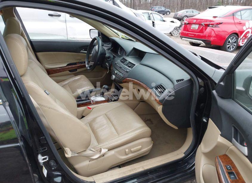 Photo 5 of 2011 Honda Accord 3.5 EX-L (VIN 5KBCP3F82BB001714)