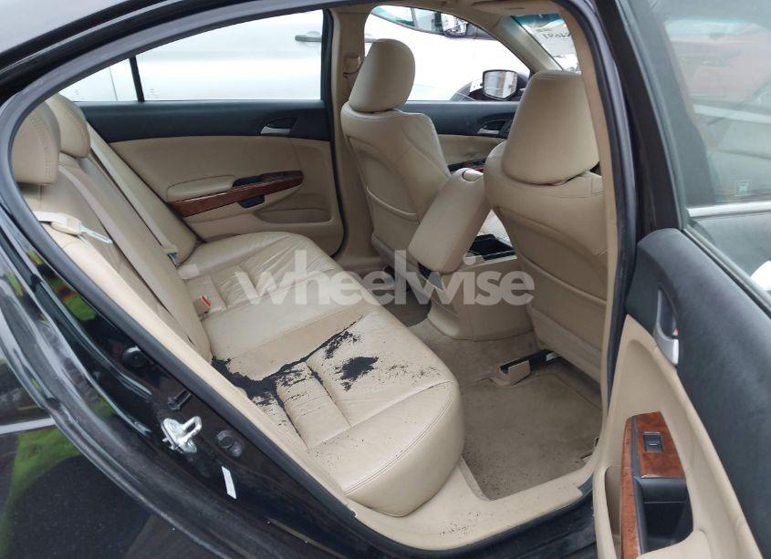 Photo 8 of 2011 Honda Accord 3.5 EX-L (VIN 5KBCP3F82BB001714)