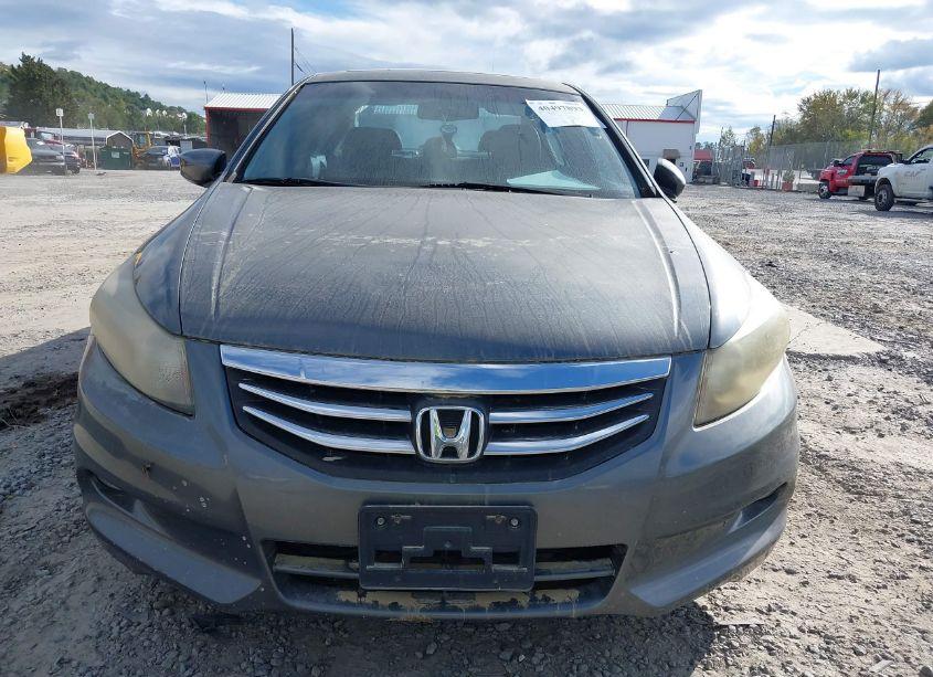 Photo 12 of 2011 Honda Accord 3.5 EX-L (VIN 5KBCP3F82BB001812)