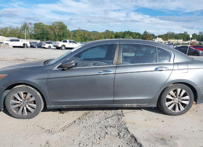 Photo 14 of 2011 Honda Accord 3.5 EX-L (VIN 5KBCP3F82BB001812)