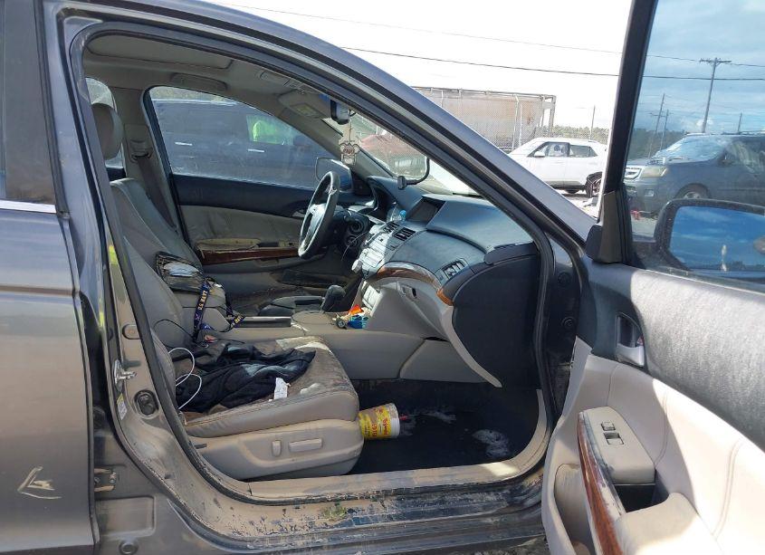 Photo 5 of 2011 Honda Accord 3.5 EX-L (VIN 5KBCP3F82BB001812)