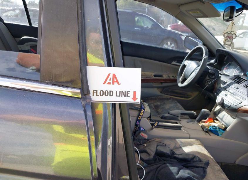 Photo 6 of 2011 Honda Accord 3.5 EX-L (VIN 5KBCP3F82BB001812)