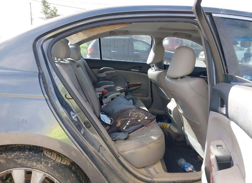 Photo 8 of 2011 Honda Accord 3.5 EX-L (VIN 5KBCP3F82BB001812)