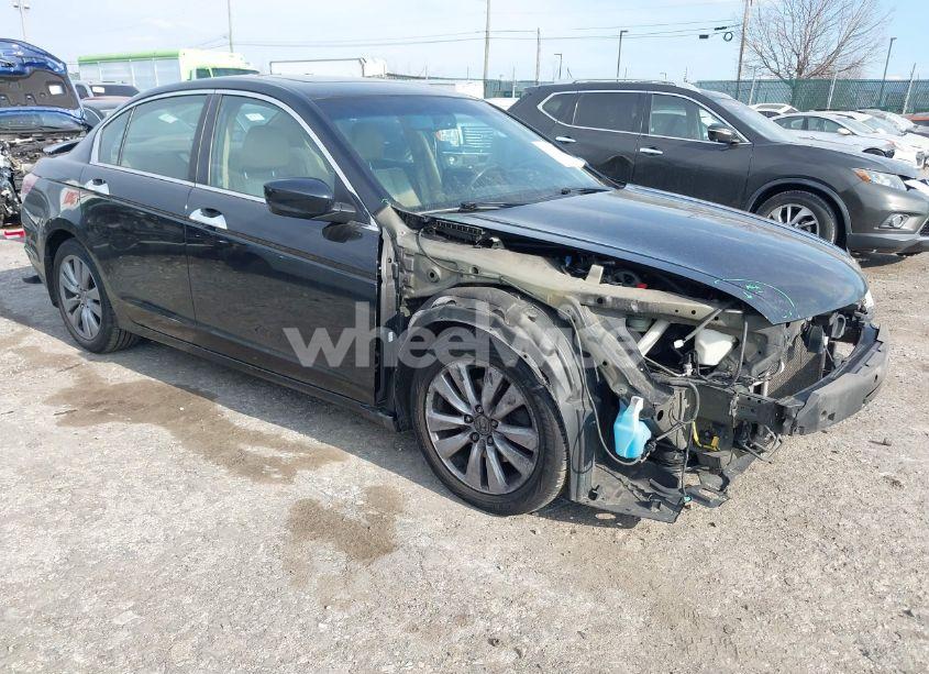 2011 Honda Accord 3.5 EX-L (VIN 5KBCP3F82BB002328) main photo