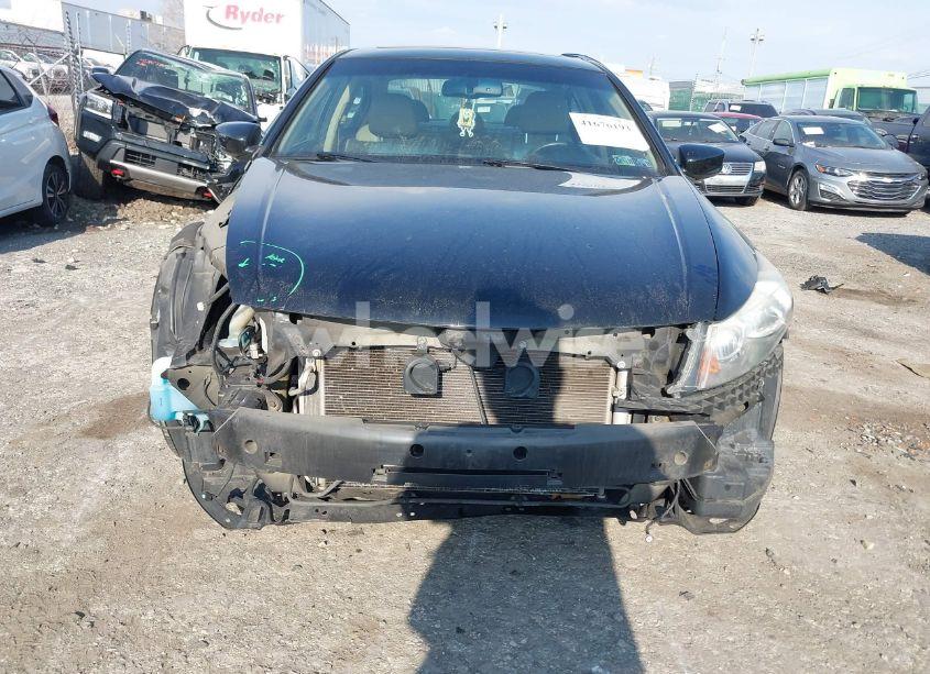 Photo 6 of 2011 Honda Accord 3.5 EX-L (VIN 5KBCP3F82BB002328)