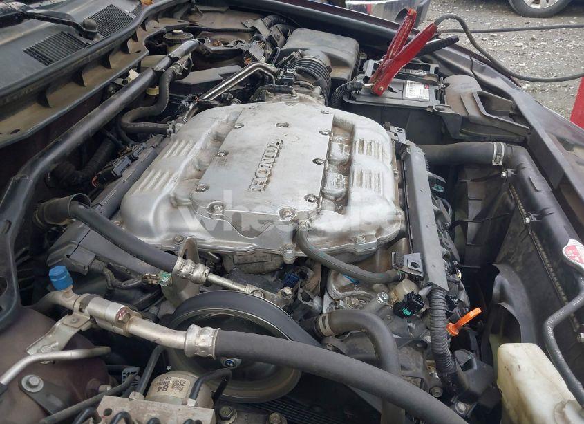 Photo 10 of 2010 Honda Accord 3.5 EX-L (VIN 5KBCP3F83AB004622)